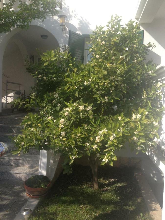 Apartmani Vukicevic Vodice Esterno foto